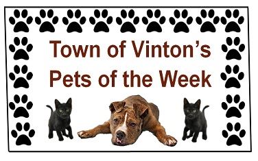 Image of Pets of the Week Logo